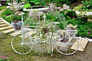 Bicycle in flowers cluster