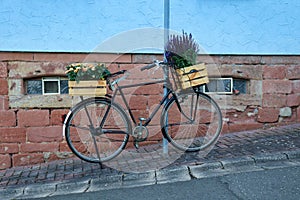 Bicycle with flowers growing in planter boxes