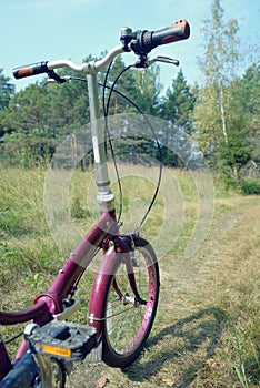 Bicycle on a forest path