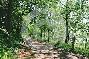 Bicycle on forest road in Chuncheon, Korea