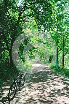 Bicycle on forest road in Chuncheon, korea