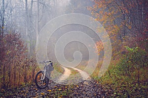 Bicycle in the forest. Romantic, misty, foggy autumn landscape. Vintage looking nature photo with dramatic colors