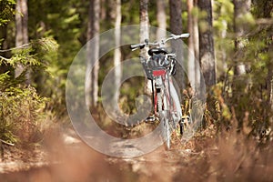 Bicycle in the forest in the sun at summer in Finland