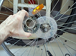 Bicycle freewheel repair at home