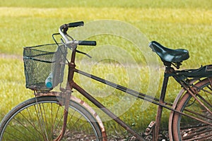 Bicycle in front of a rice field in Vietnam