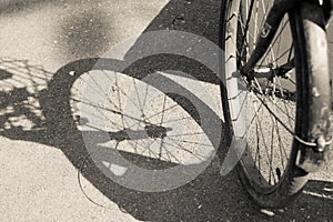 Bicycle front wheel