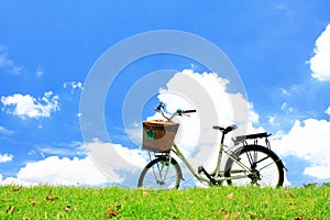 Bicycle on the green grass