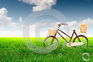 Bicycle on the green lush meadow with blue sky