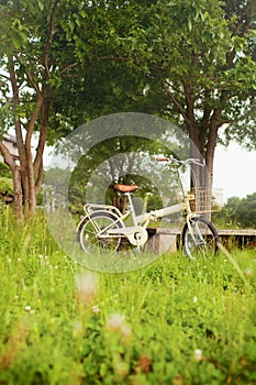 Bicycle on green meadow
