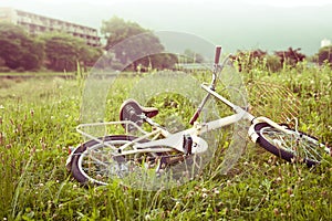 Bicycle on green meadow