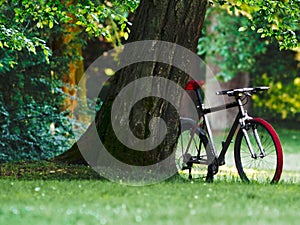 Bicycle in a green park