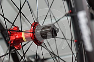 Bicycle hub