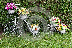 Bicycle inventor flowers