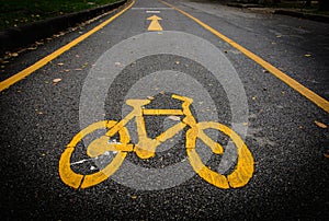 Bicycle lane