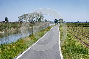 Bicycle lane along the Naviglio of Bereguardo Italy