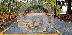 Bicycle lane. Bicycle path in the park, road is a thoroughfare, Road bicycler