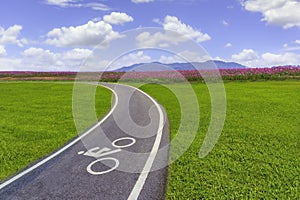 Bicycle lane in the flower field on the hills