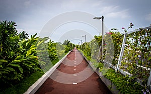 Bicycle lane and a jogging path surrounded by green in Cinta Costera - Panama City, Panama photo
