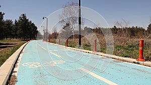 Bicycle lane in park. Man playing sports by bike riding in the woods