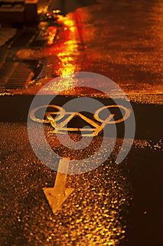 Bicycle Lane Sign On Road At Night. City Urban Street, Traffic Light, Reflection. Abstract urban blurred background