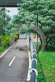 Bicycle lane in Taiwan, Beadtree, Bead Tree, city