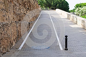 Bicycle lane in Valencia, Spain.  Turia Gardens