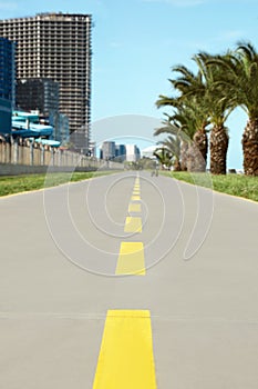 Bicycle lane with yellow dividing lines painted on asphalt, closeup