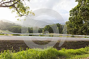 Bicycle lanes in park.