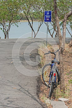 Bicycle lean tree near bicycle path with lake background.