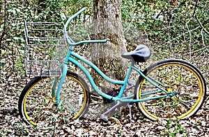 Bicycle leaning against a big tree