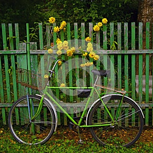 Bicycle leaning against the fence