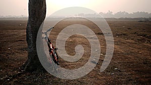 Bicycle Leaning on Tree photo