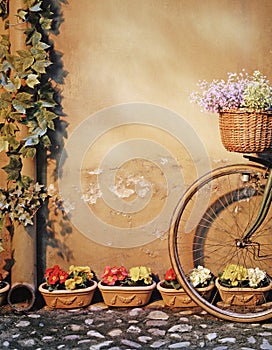 Bicycle leans against the wall