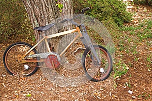 Bicycle lost and rusting away