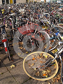 bicycle lot