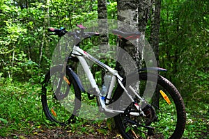 A bicycle without a man in a green forest