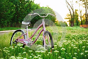 Bicycle on a meadow in the park