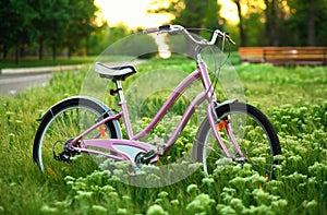 Bicycle on a meadow in the park