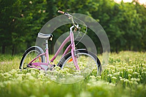 Bicycle on a meadow in the park