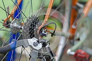 Bicycle mechanic in a workshop in the repair process, holds a tool in his hand