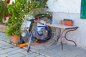 Bicycle and a motor scooter left and overgrown by shrubs