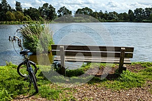 Bicycle near bench and pond in park