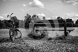 Bicycle near bench and pond in park. Black-white photo