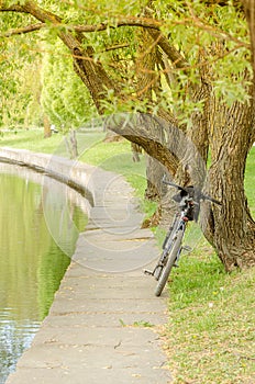 bicycle near river in park/bicycle near river in park on a sunset