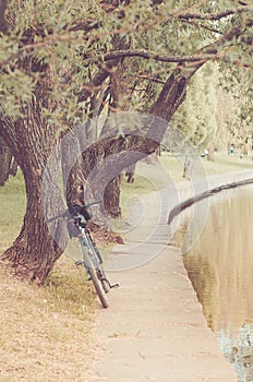 Bicycle near river in park/bicycle near river in park, toned