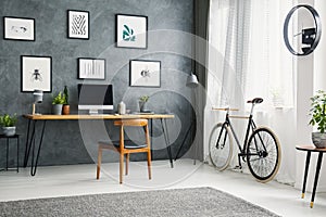 Bicycle next to wooden chair at desk in grey home office interior with posters. Real photo