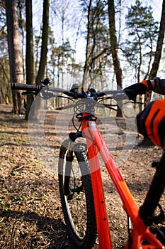 Bicycle with orange frame in the forest on the highway.