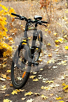 The bicycle on a parh. photo
