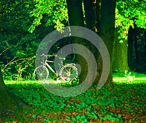 Bicycle in park