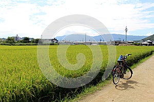 Bicycle parked by the Japanese green ricefield